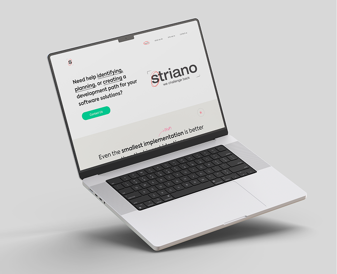 Diseño de la portada de la landing page de Striano